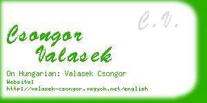 csongor valasek business card